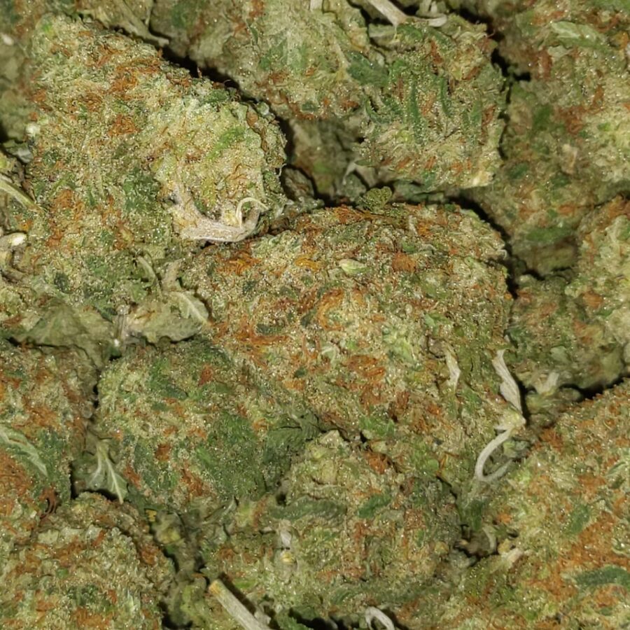 romulan smalls 5 I Romulan *Smalls*