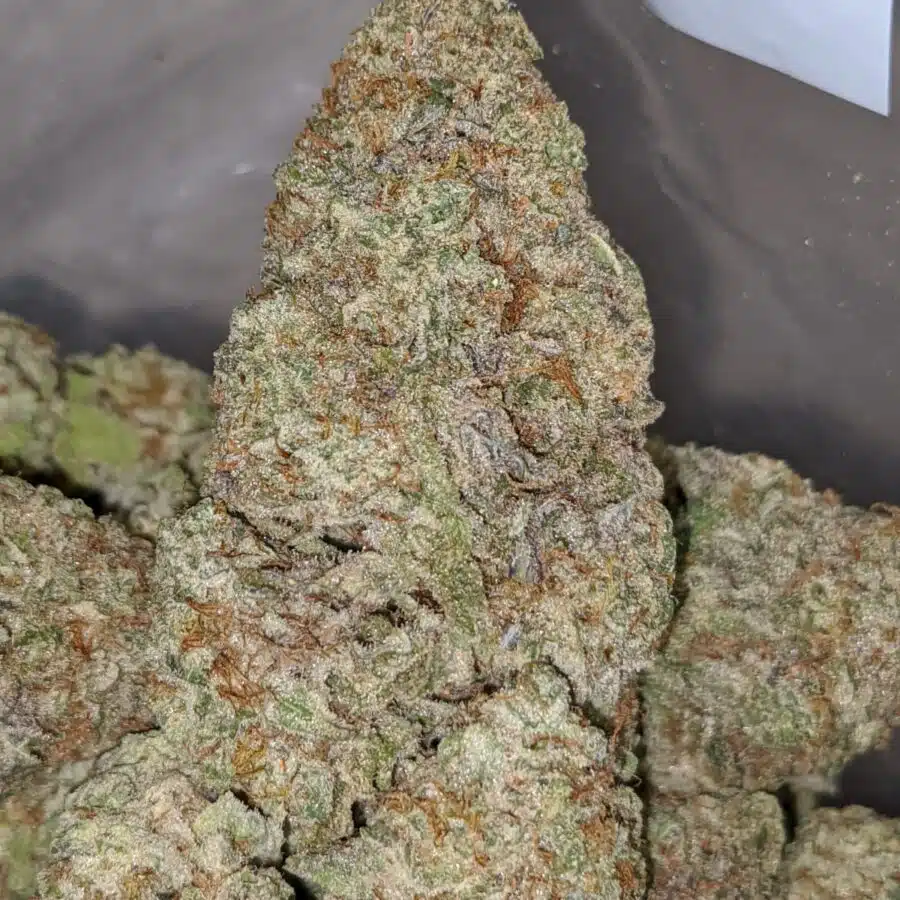 super bubba 1 I Super Bubba