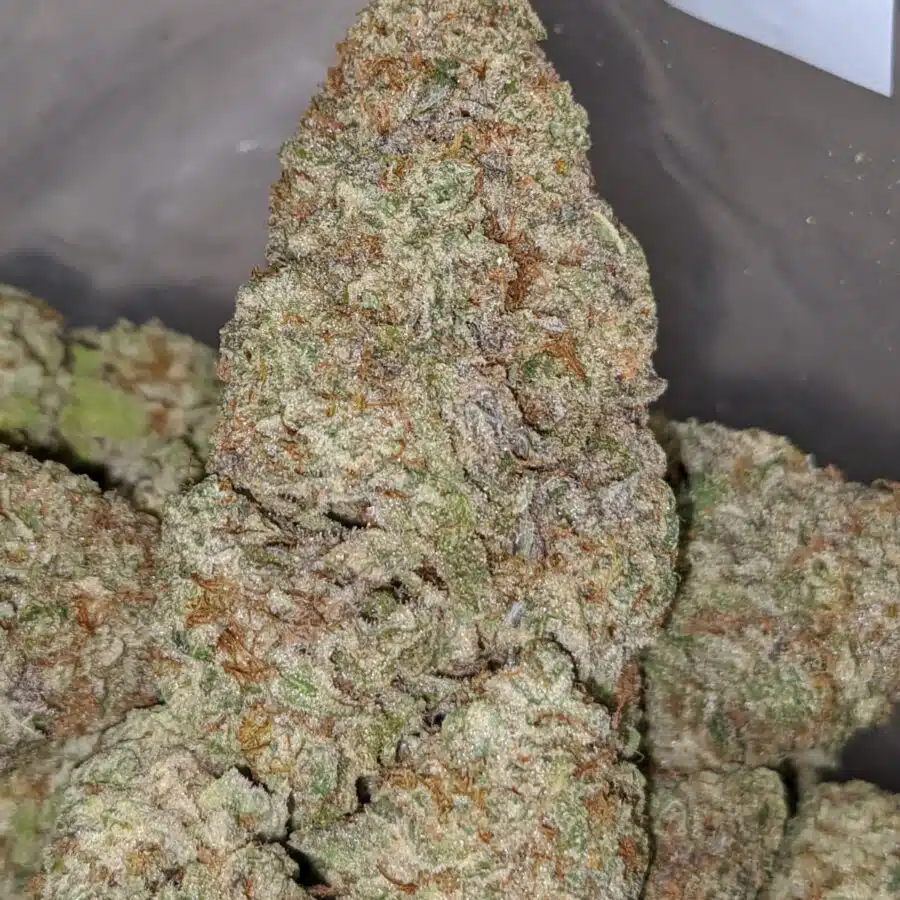 super bubba 2 I Super Bubba