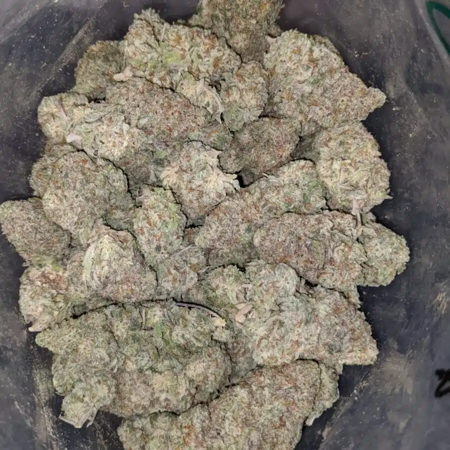 super bubba 3 I Super Bubba