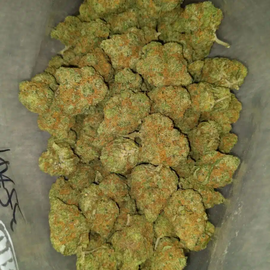 super silver haze 4 I Super Lemonhead OG