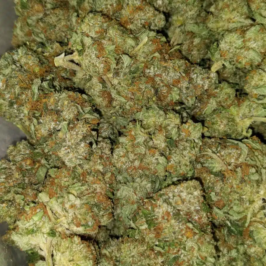 tony purple god 3 I $89 Oz - Purple God
