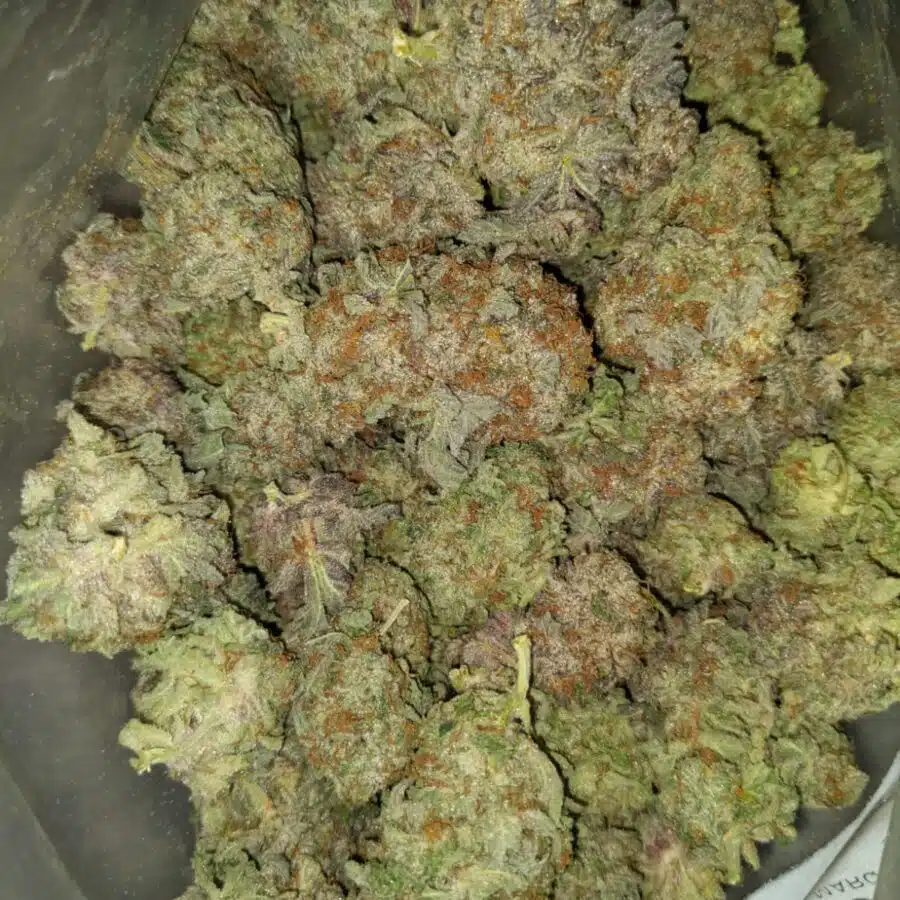 tony purple god 7 I $89 Oz - Purple God