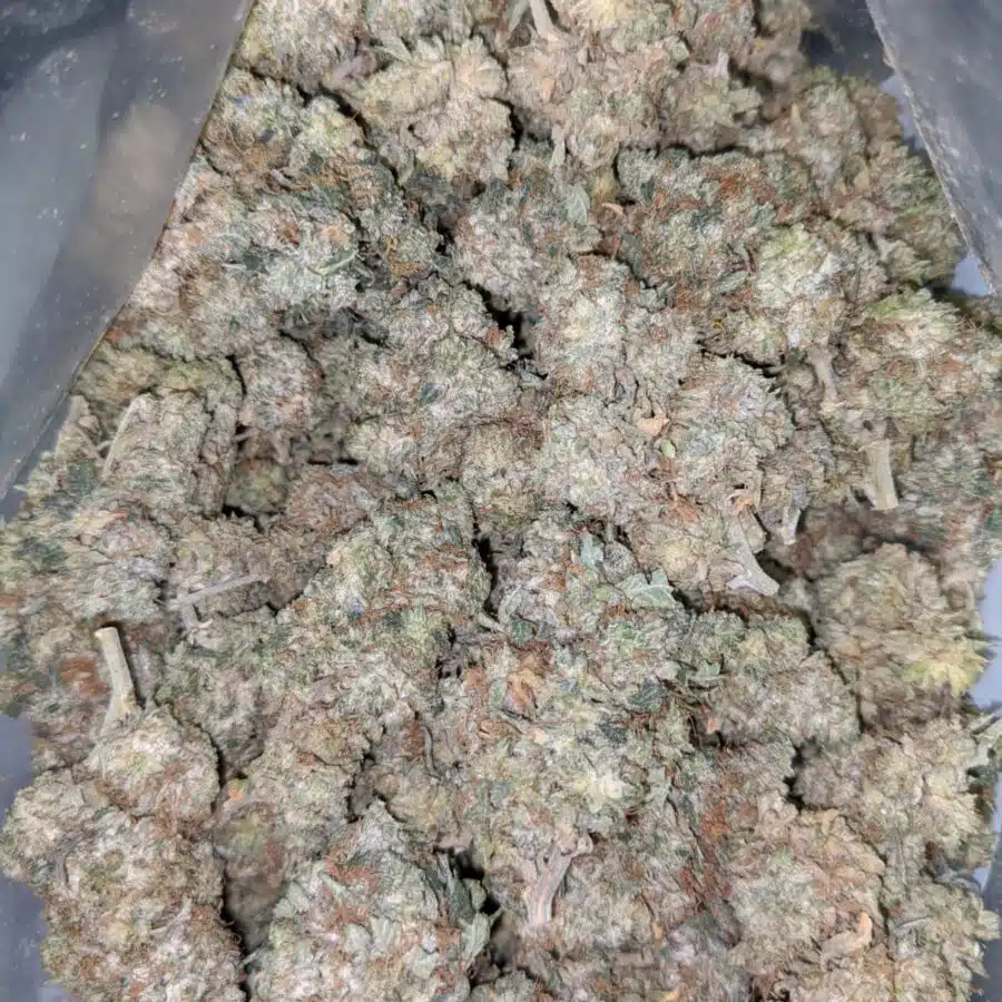 Alternative view of $49 Oz - AA+ Pink
