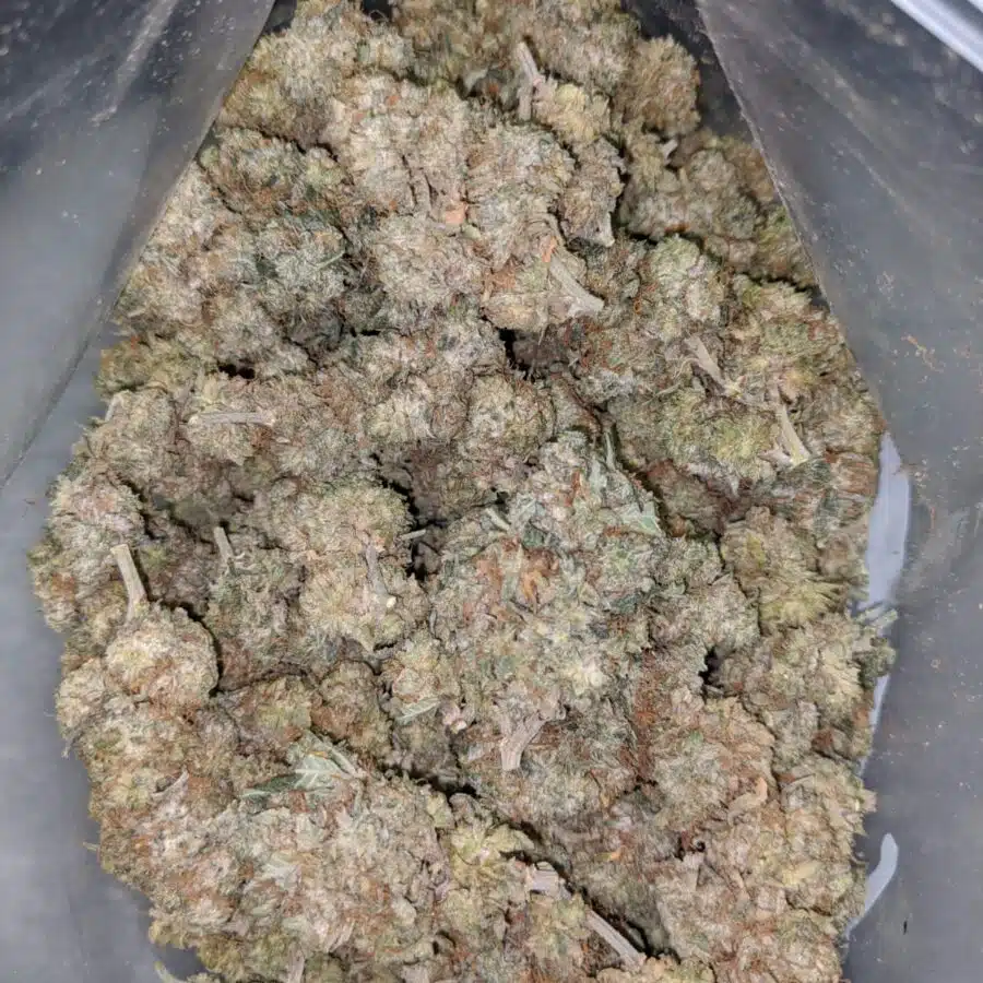 49 pink aa3 I $49 Oz - AA+ Pink