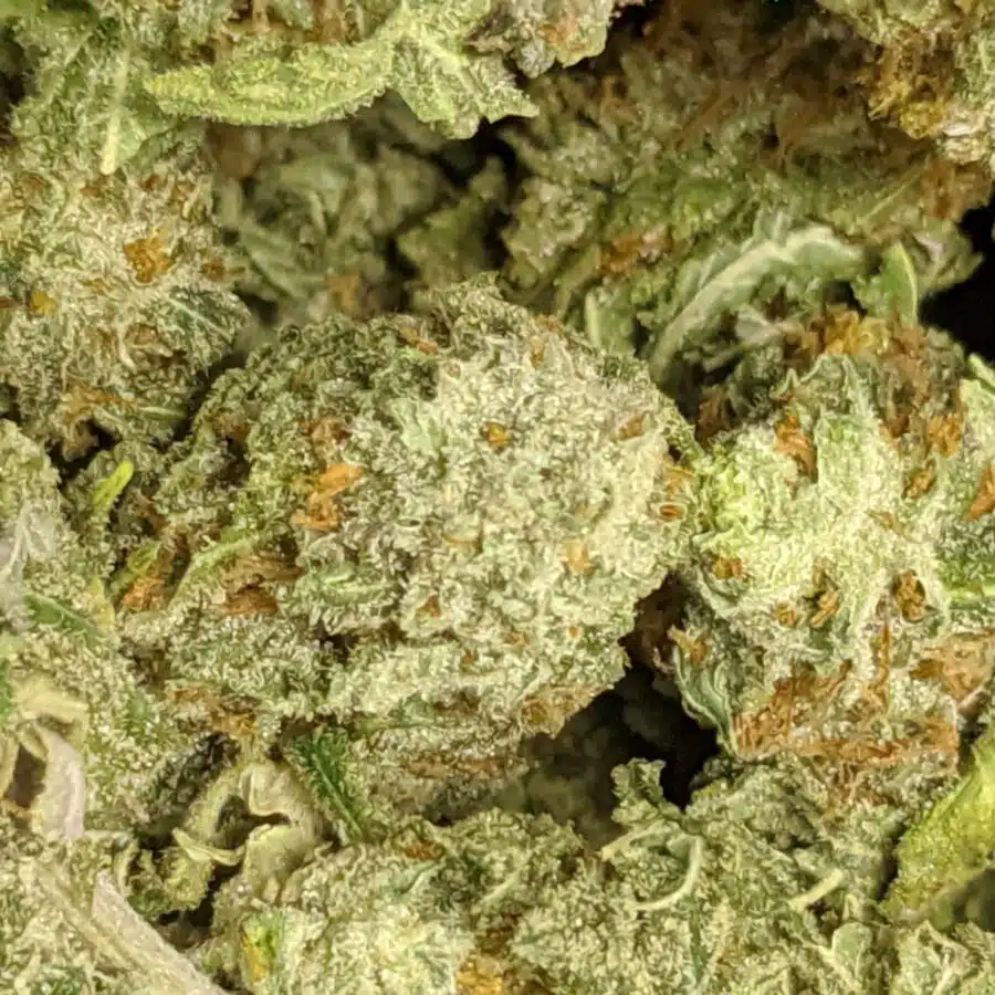 69 emma nuken 2 I $69 Oz - Emma's Nuken