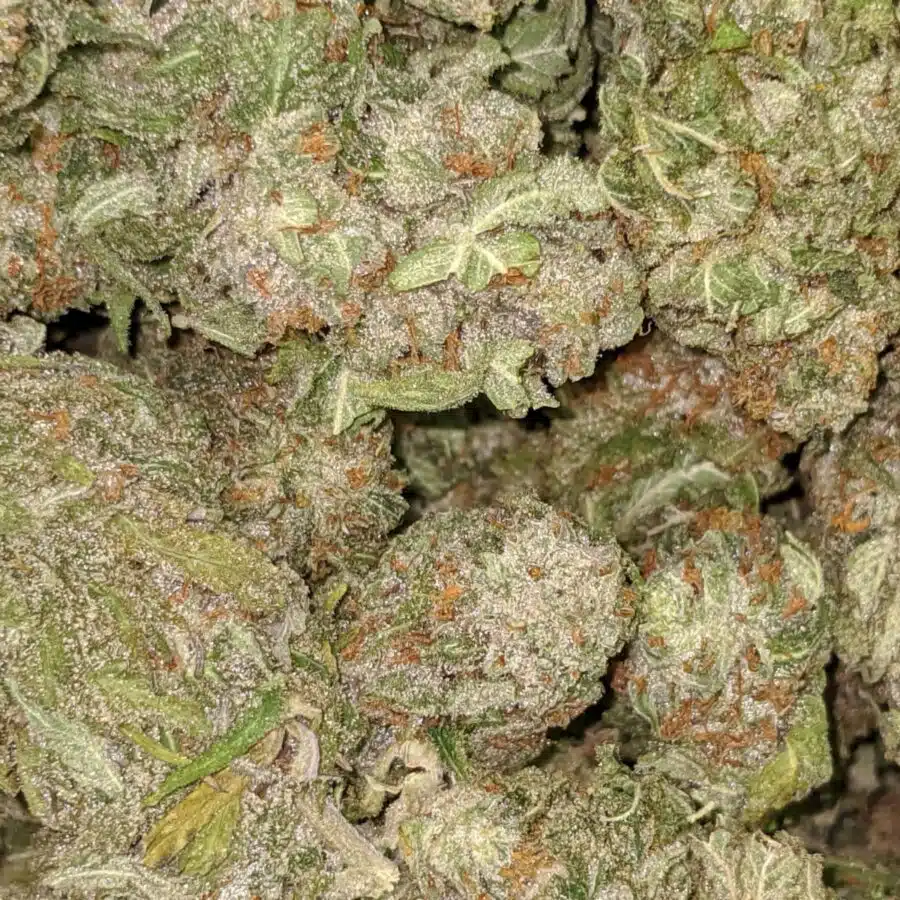69 emma nuken 3 I $69 Oz - Emma's Nuken