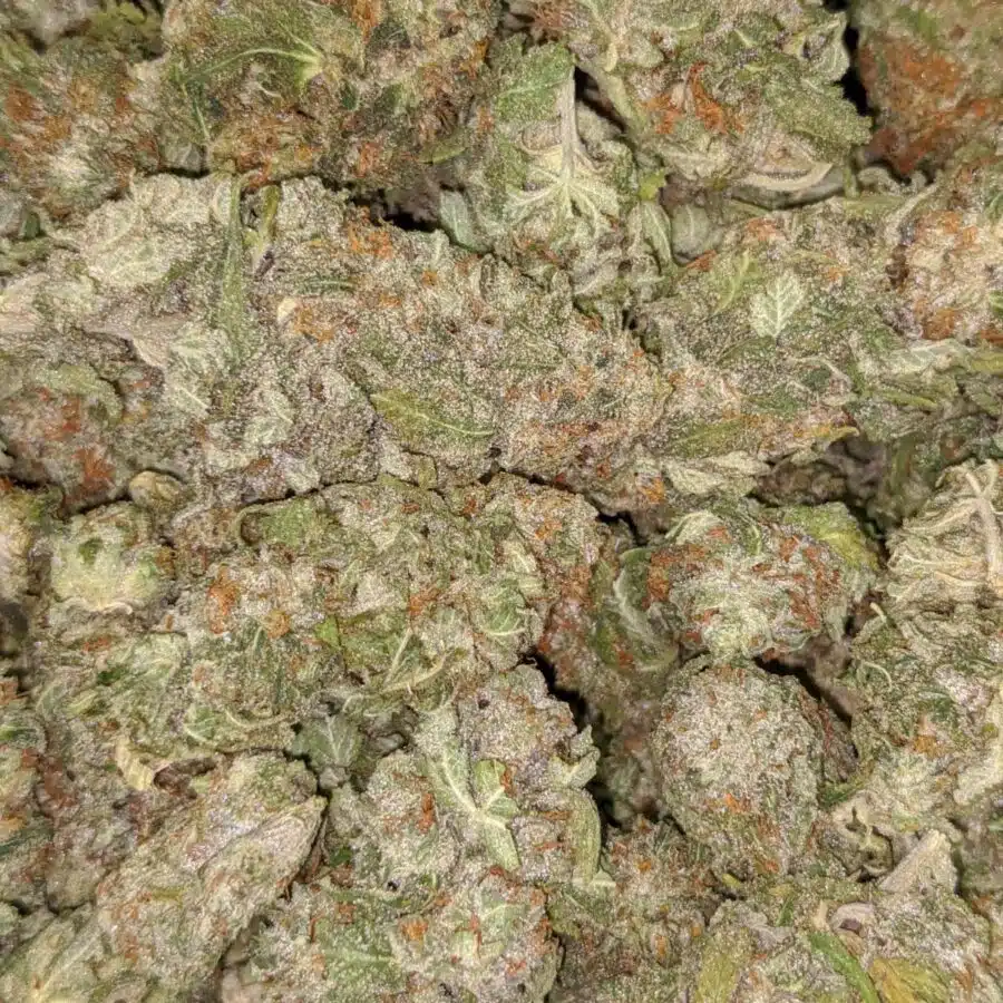 69 emma nuken 4 I $69 Oz - Emma's Nuken