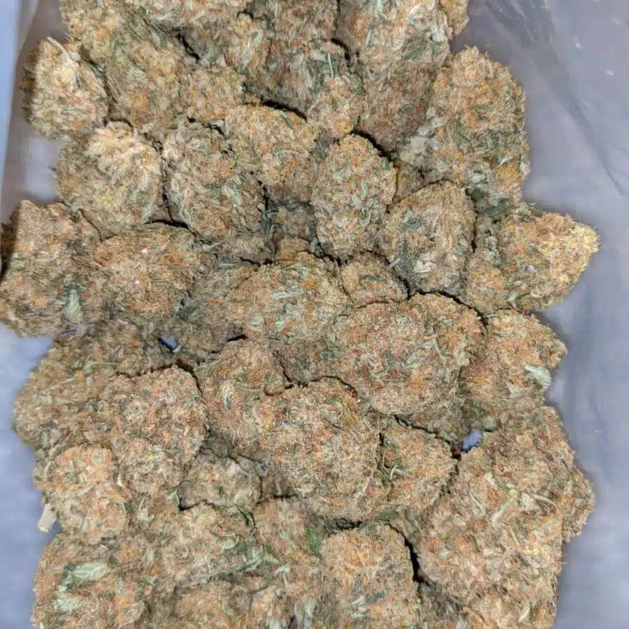 Alternative view of $79 Oz - Mango Ice Cream