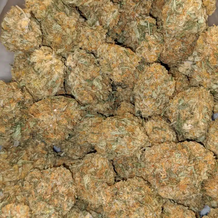 79 mango ice cream 2 I $79 Oz - Mango Ice Cream