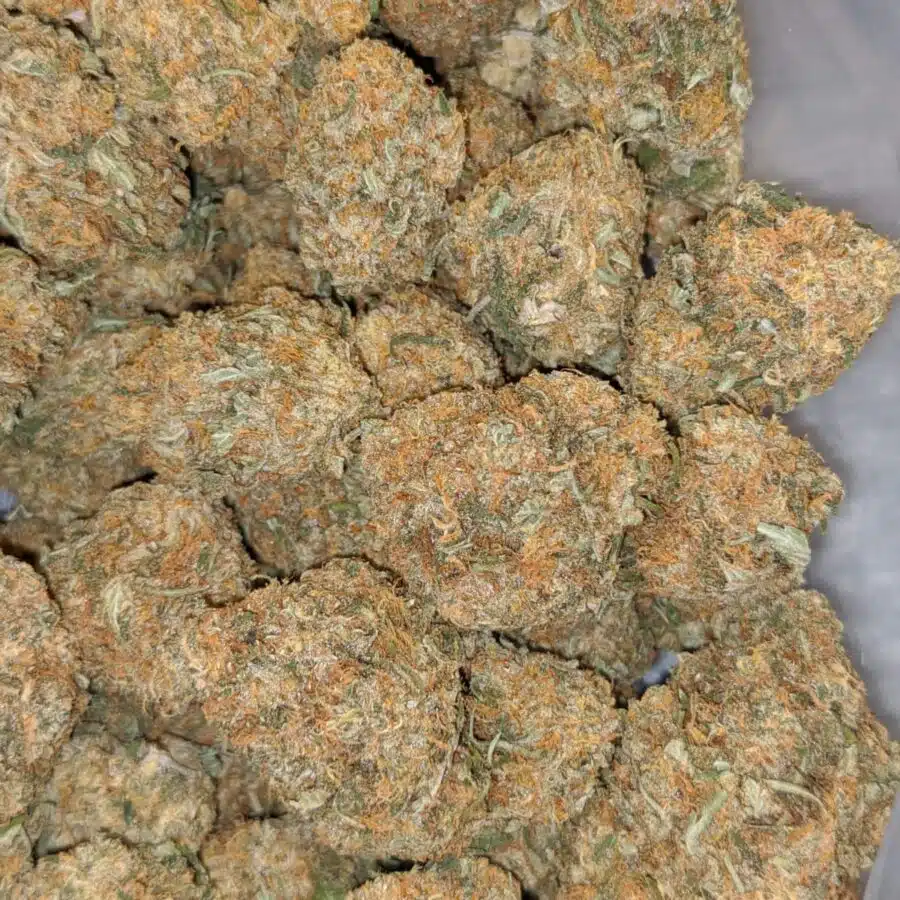 79 mango ice cream 3 I $79 Oz - Mango Ice Cream