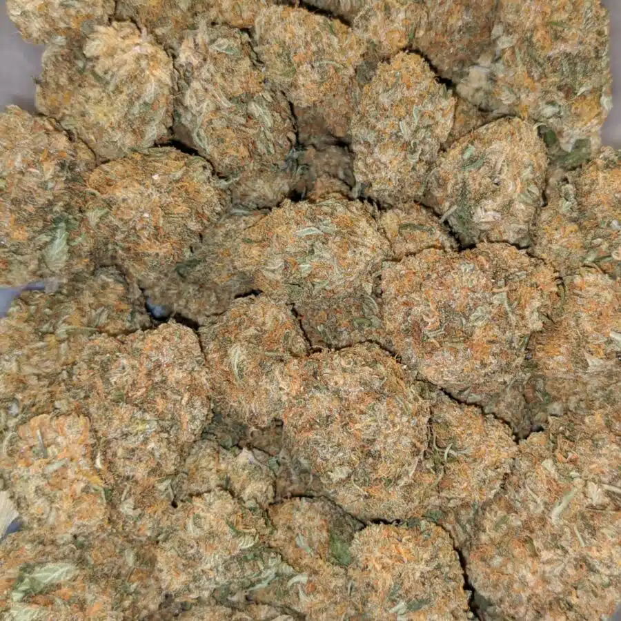 79 mango ice cream 4 I $79 Oz - Mango Ice Cream