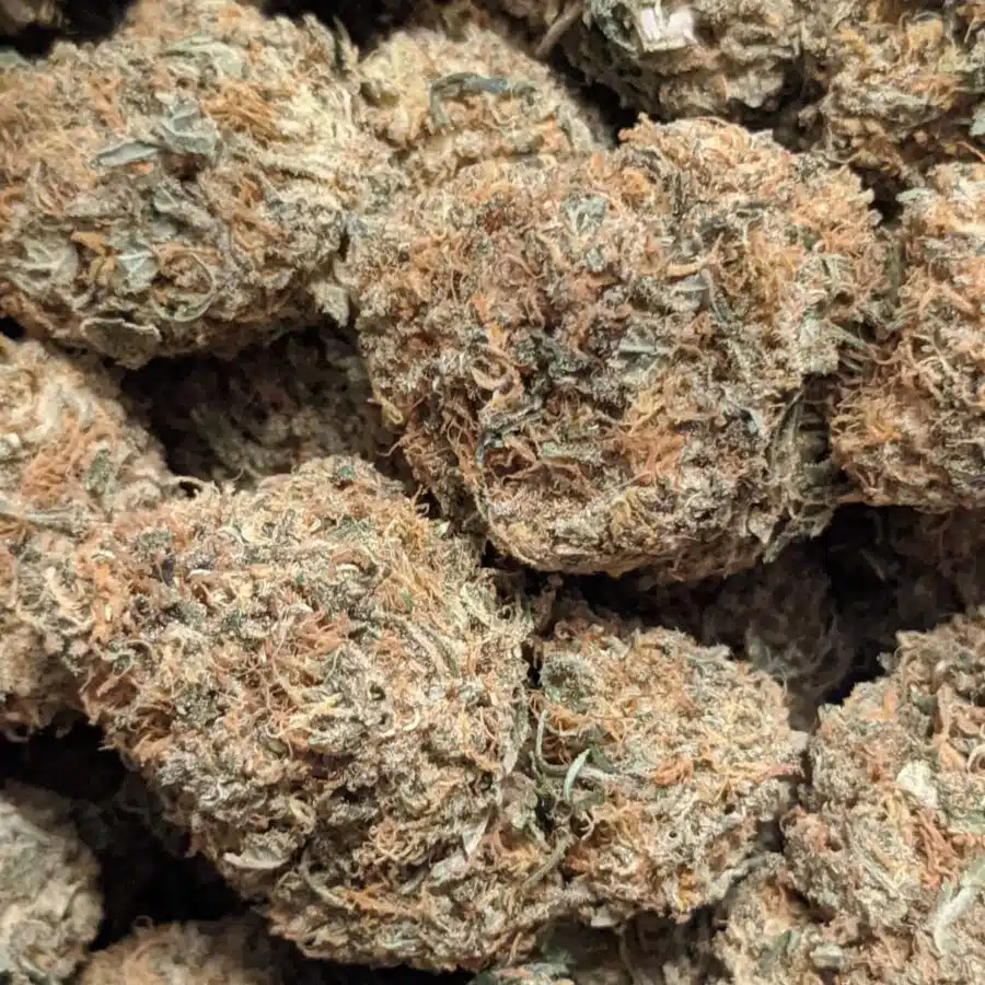 79 mango ice cream 5 I $79 Oz - Mango Ice Cream