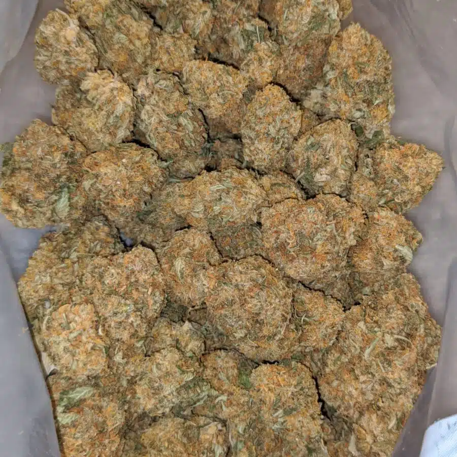 79 mango ice cream 6 I $79 Oz - Mango Ice Cream