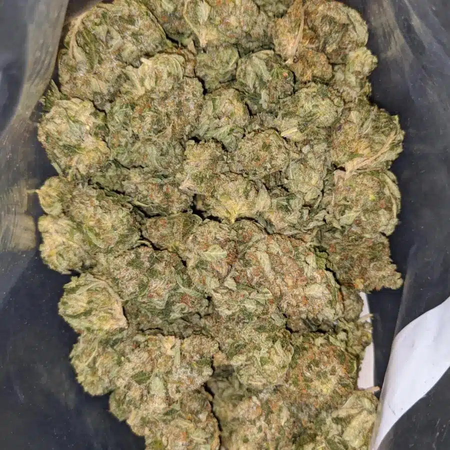 79 tuna kush 1 I $79 Oz - Tuna Kush