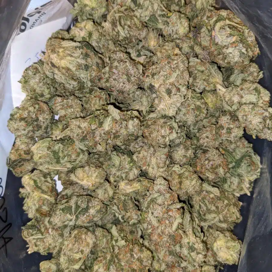 79 tuna kush 2 I $79 Oz - Tuna Kush
