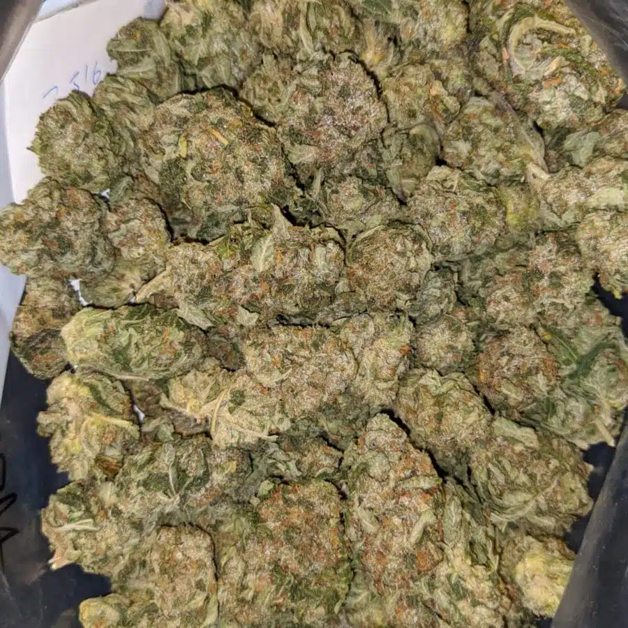 79 tuna kush 3 I $79 Oz - Tuna Kush
