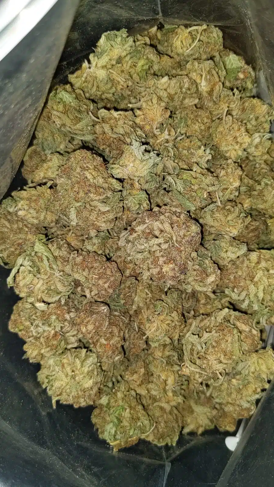 Durban aa1 I Durban AA+