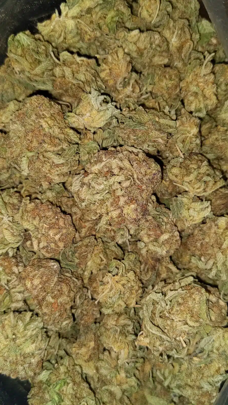 Durban aa2 I Durban AA+