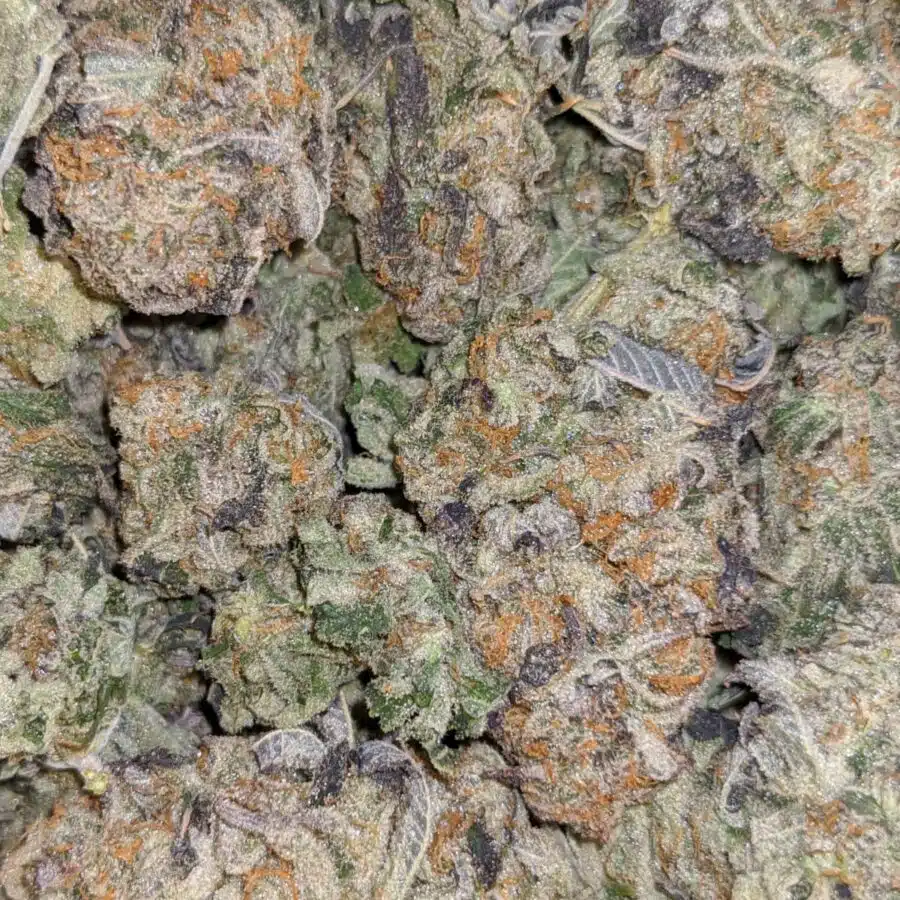 GREEN CHEESE DOD 1 I $79 Oz - Green Cheese