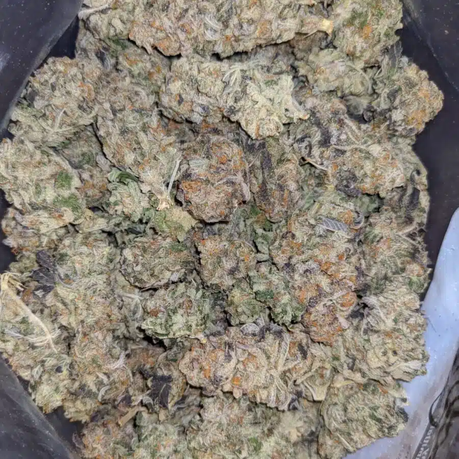 GREEN CHEESE DOD 2 I $79 Oz - Green Cheese