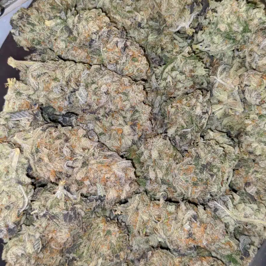 GREEN CHEESE DOD 5 I $79 Oz - Green Cheese