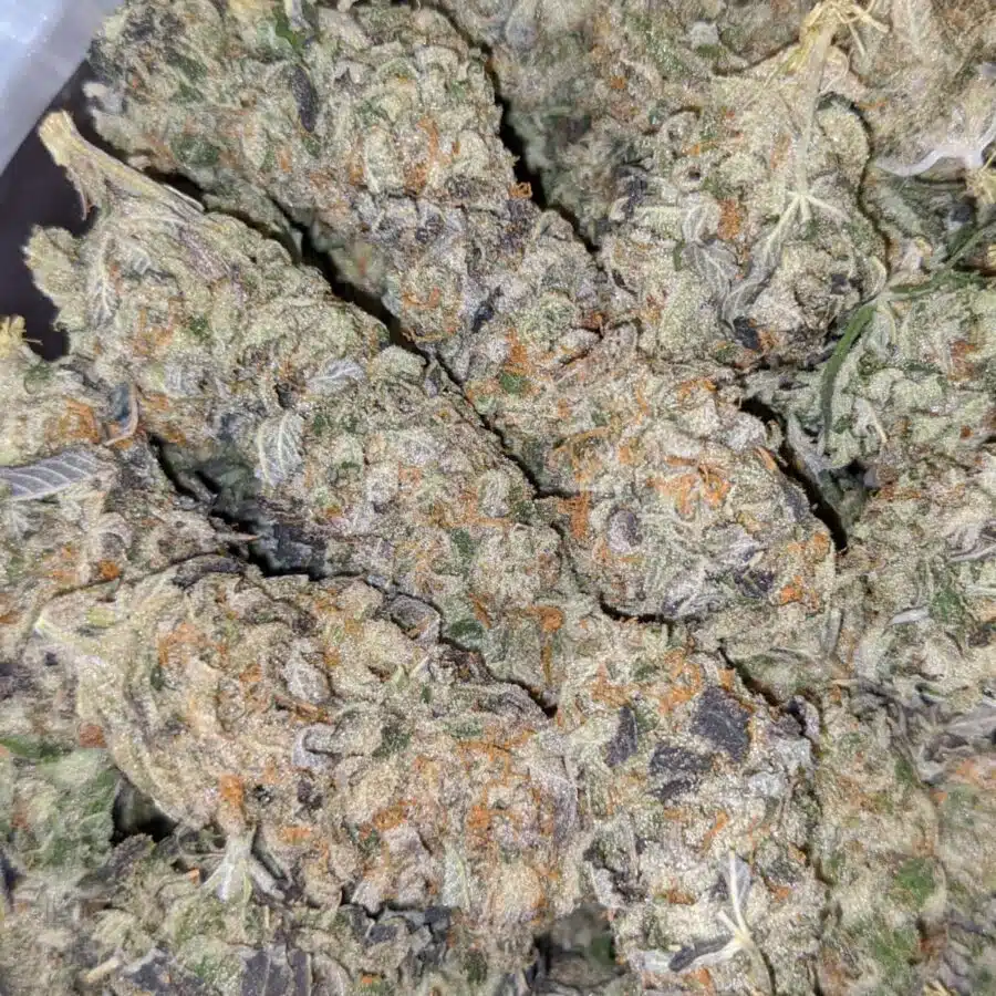 Alternative view of $79 Oz - Green Cheese