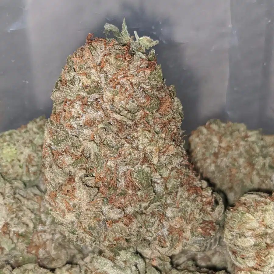INFINITY KUSH 1 I Infinity Kush