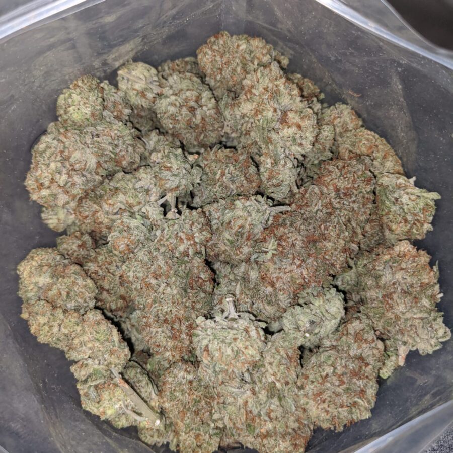 INFINITY KUSH 3 I Infinity Kush