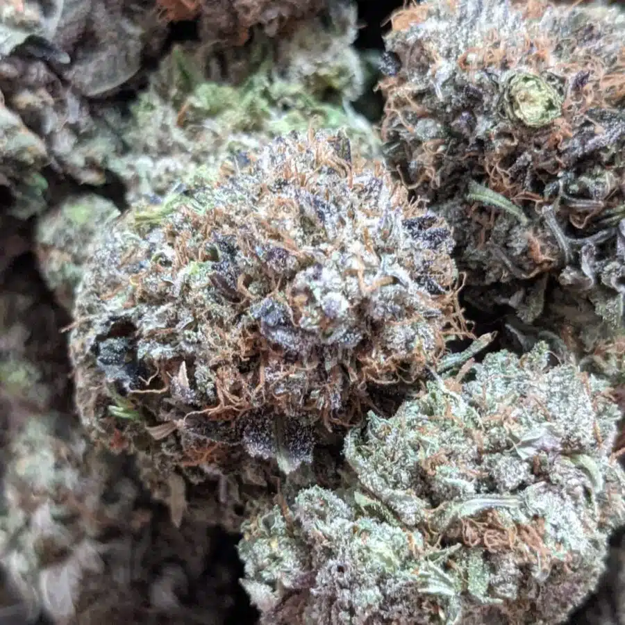 PURPLE FROST 1 rotated I $109 Oz - Purple Frost