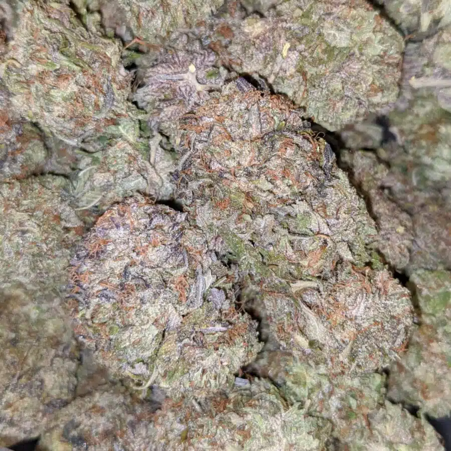 PURPLE FROST 3 I $109 Oz - Purple Frost