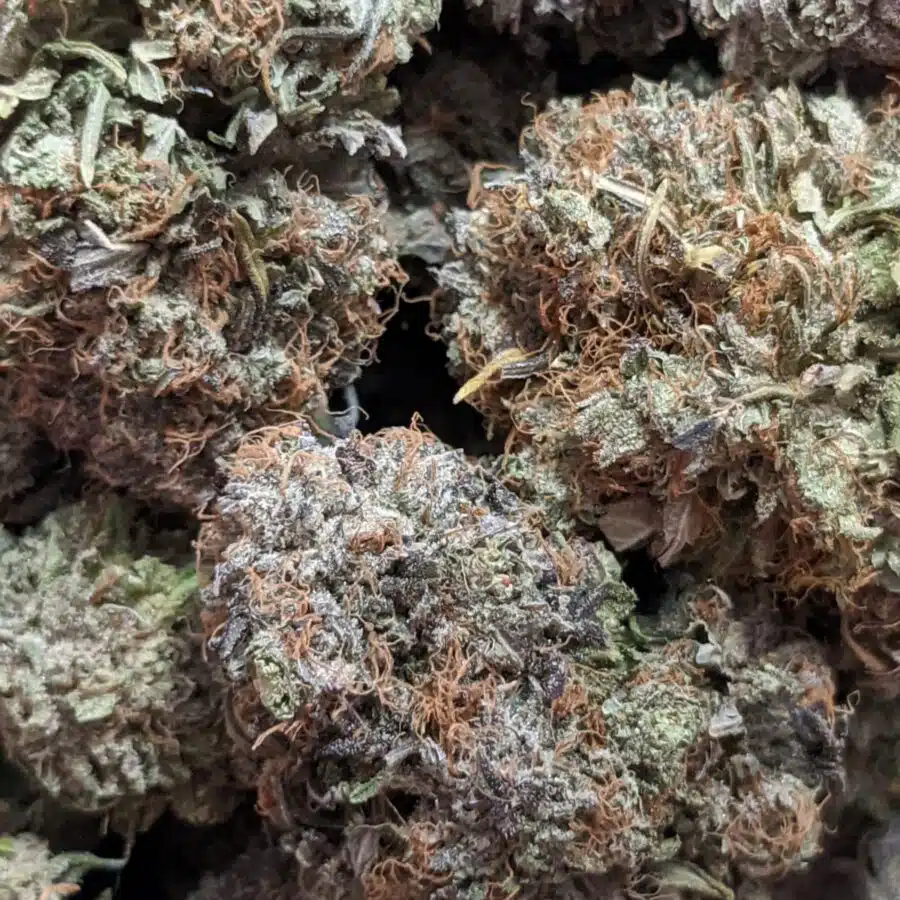 PURPLE FROST 5 I $109 Oz - Purple Frost