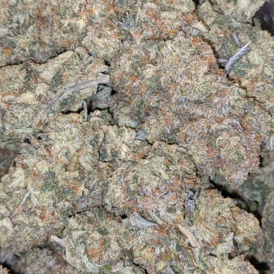 black gas 1 I $109 Oz - Black Gas
