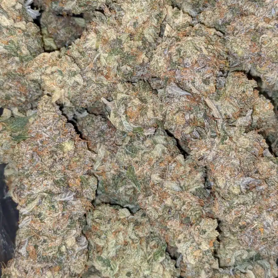 black gas 3 I $109 Oz - Black Gas