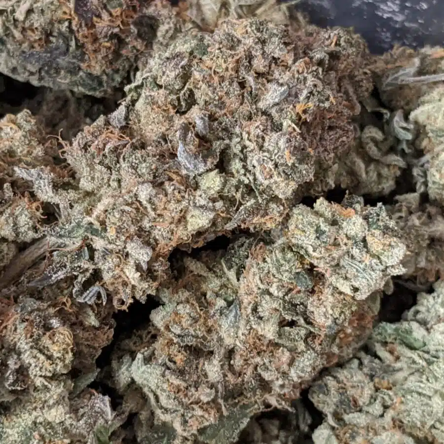 black gas 4 I $109 Oz - Black Gas