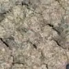 $109  Oz - Black Gas