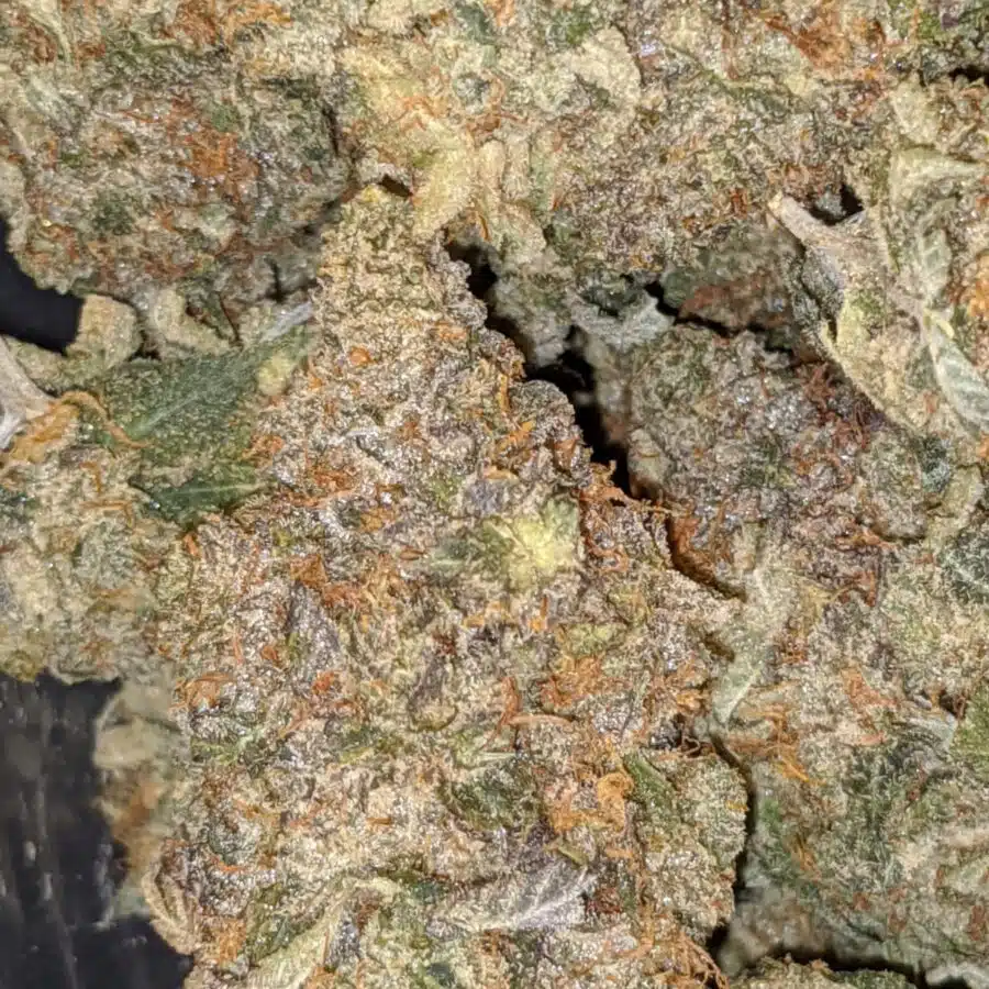 black gas 6 I $109 Oz - Black Gas