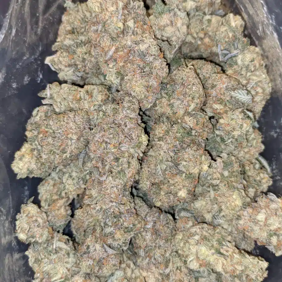 black gas 7 I $109 Oz - Black Gas