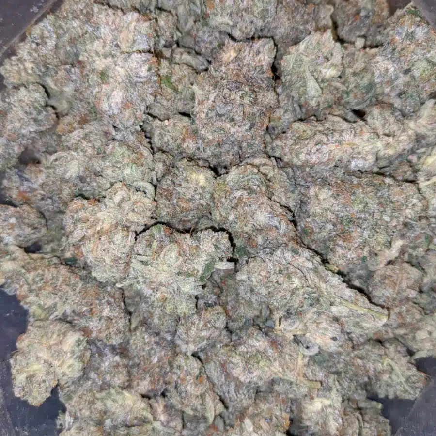 dos diablos 4 I $119 Oz - Dos Diablos