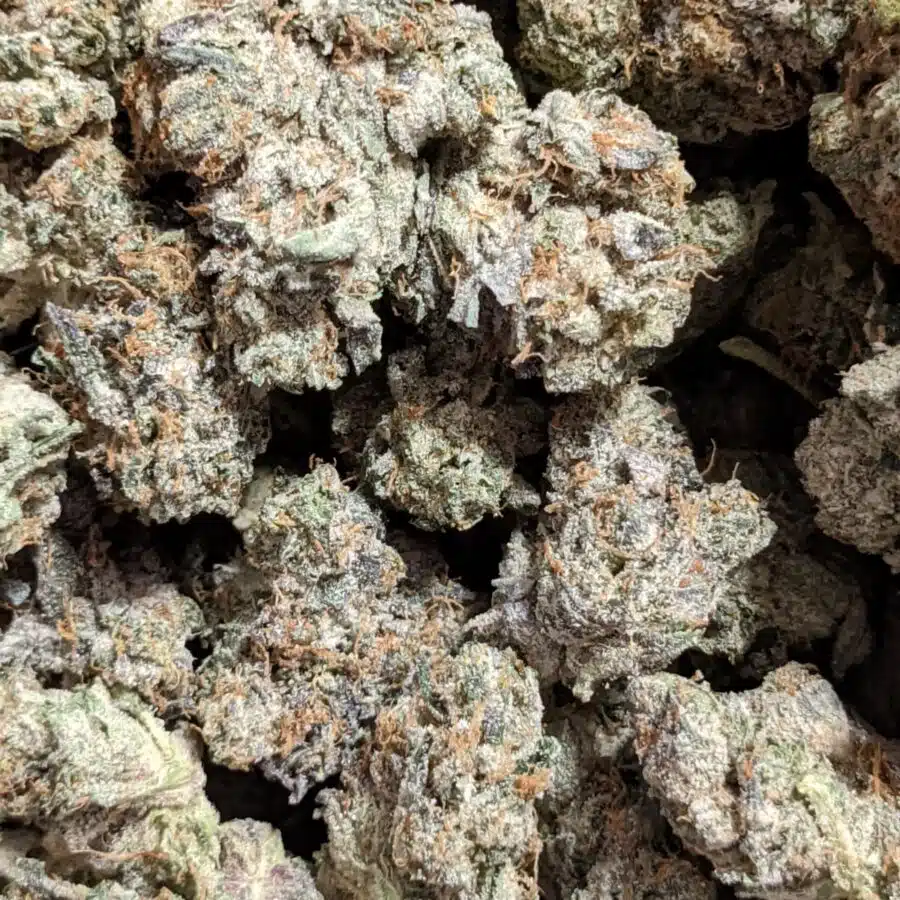dos diablos 7 I $119 Oz - Dos Diablos