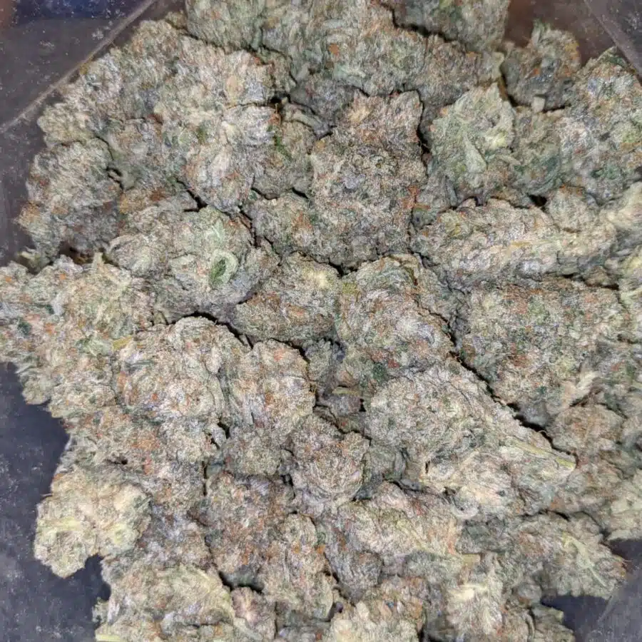 dos diablos 8 I $119 Oz - Dos Diablos