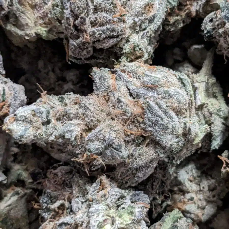 dos diablos 9 I $119 Oz - Dos Diablos