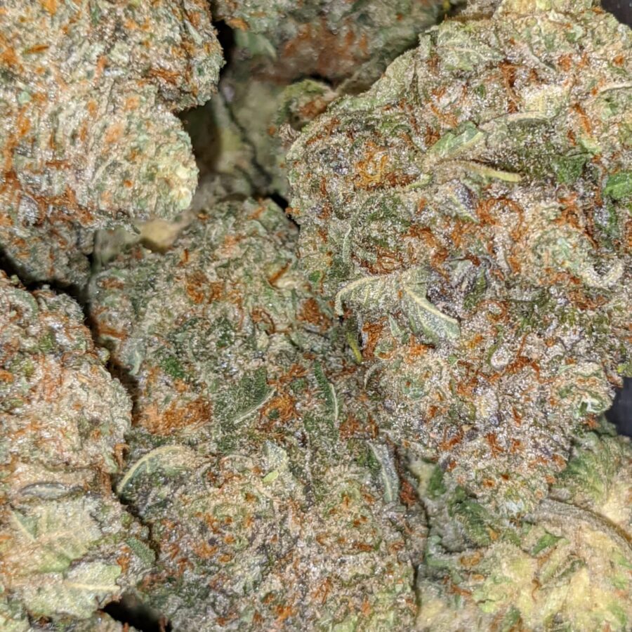 grease monkey aaa 3 I $69 Oz - Grease Monkey