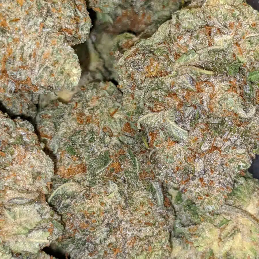 grease monkey aaa 3 I $69 Oz - Grease Monkey