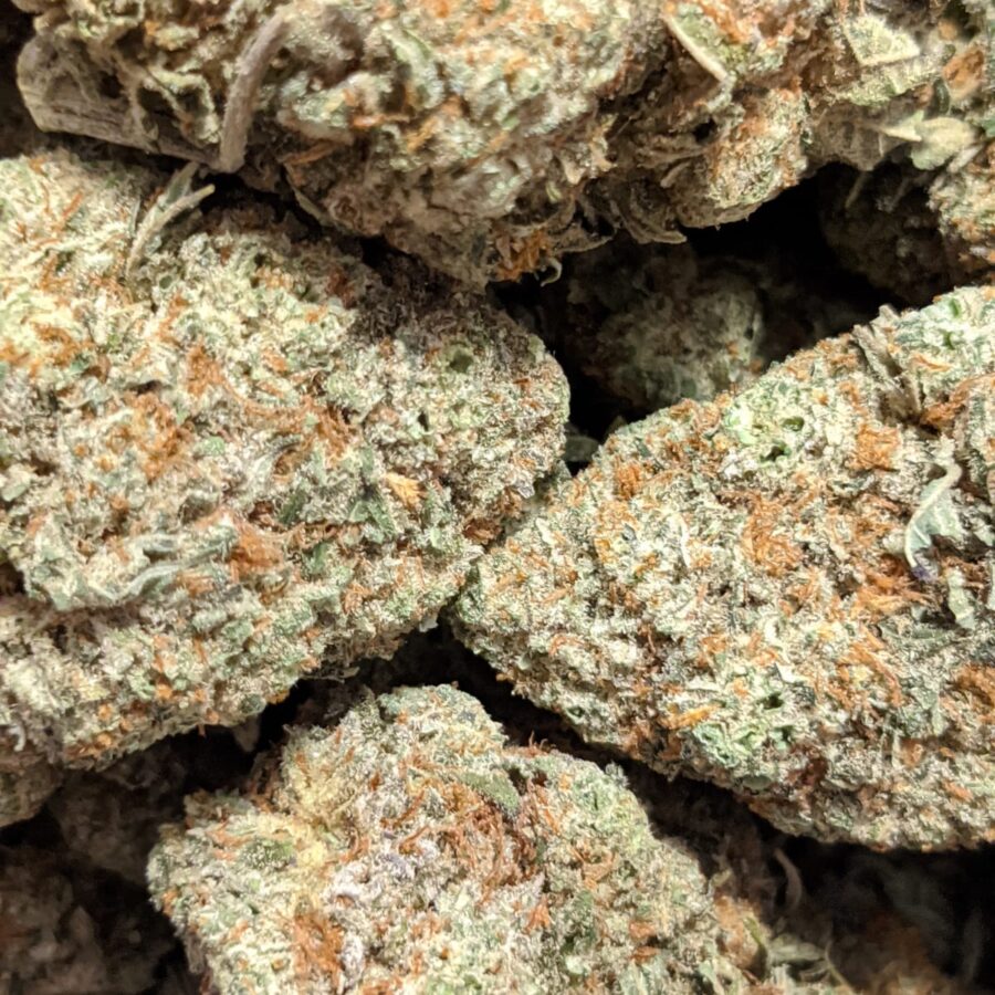 grease monkey aaa 4 I $69 Oz - Grease Monkey
