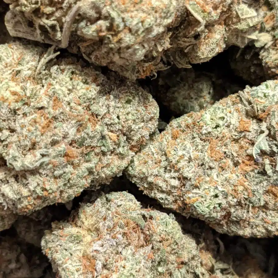grease monkey aaa 4 I $69 Oz - Grease Monkey