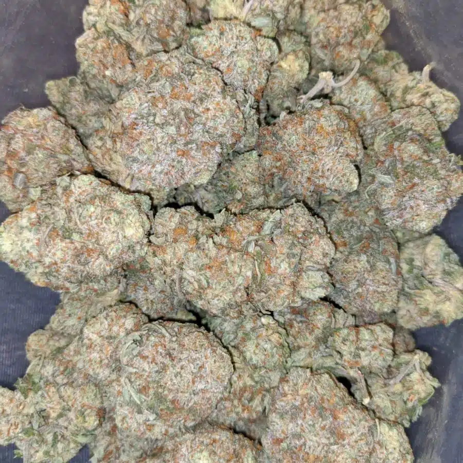 $69 Oz - Grease Monkey