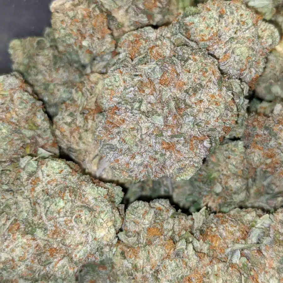 grease monkey aaa 6 I $69 Oz - Grease Monkey