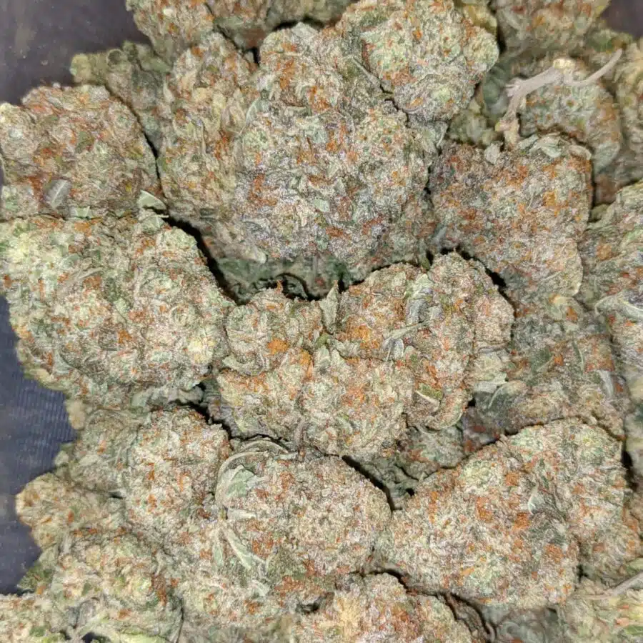 Alternative view of $69 Oz - Grease Monkey