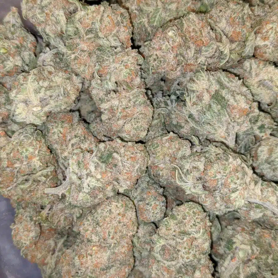 island sweet skunk aaa 1 I $79 Oz - Island Sweet Skunk